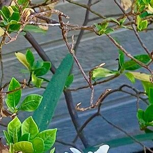 Meet your Posher, molly